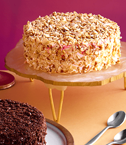 ice cream cakes